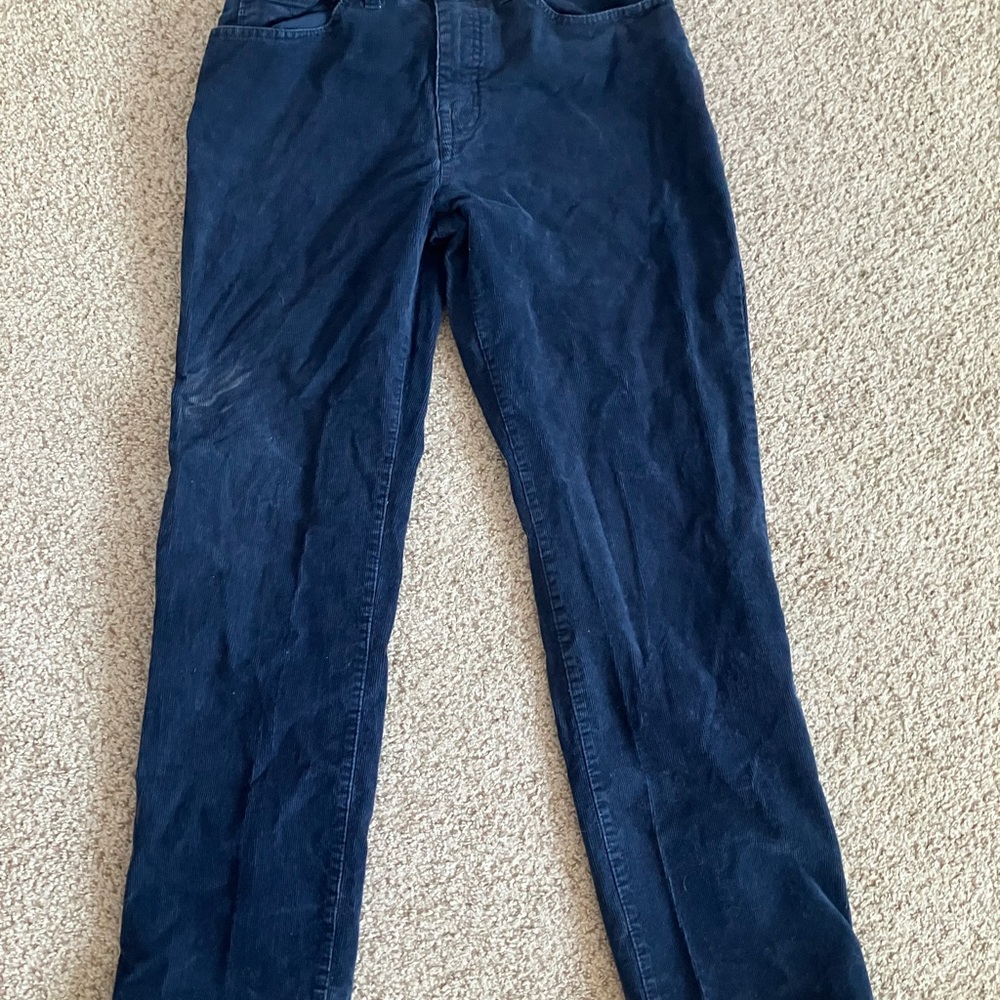 Goodfellow & Co Blue Corduroy Pants